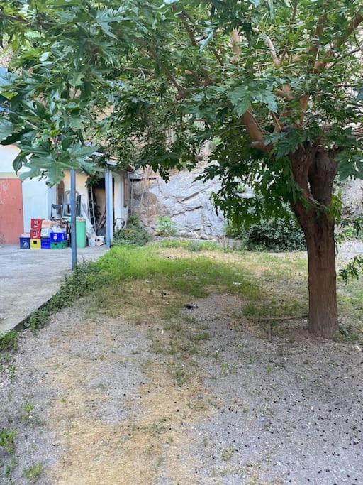 Appt 4 Pers Avec Jardin Ombrage En Centre Ville De Sète Extérieur photo