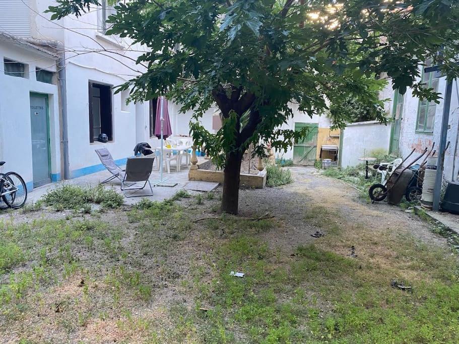 Appt 4 Pers Avec Jardin Ombrage En Centre Ville De Sète Extérieur photo